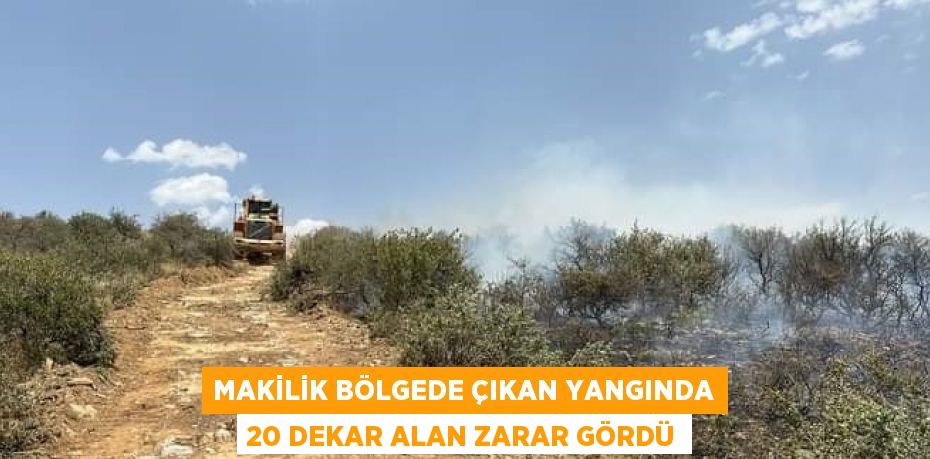 MAKİLİK BÖLGEDE ÇIKAN YANGINDA 20 DEKAR ALAN ZARAR GÖRDÜ