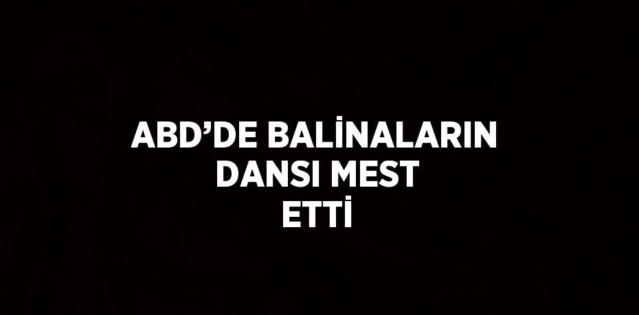 ABD’DE BALİNALARIN DANSI MEST ETTİ