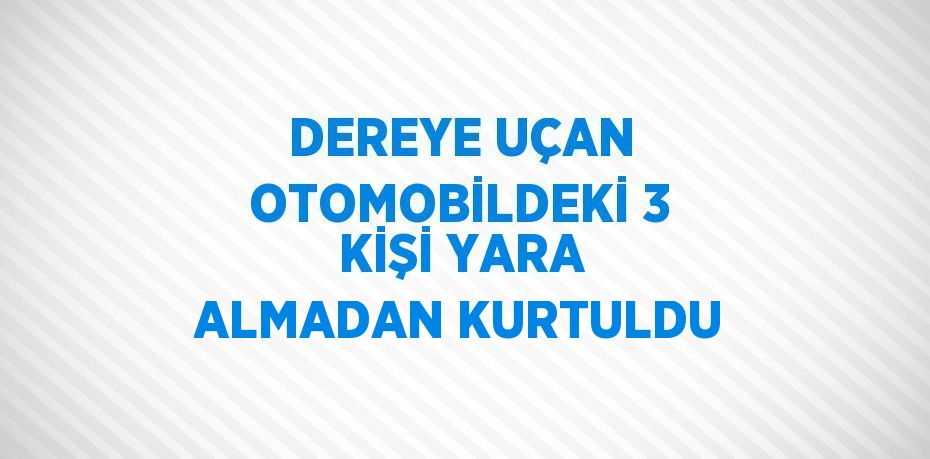 DEREYE UÇAN OTOMOBİLDEKİ 3 KİŞİ YARA ALMADAN KURTULDU