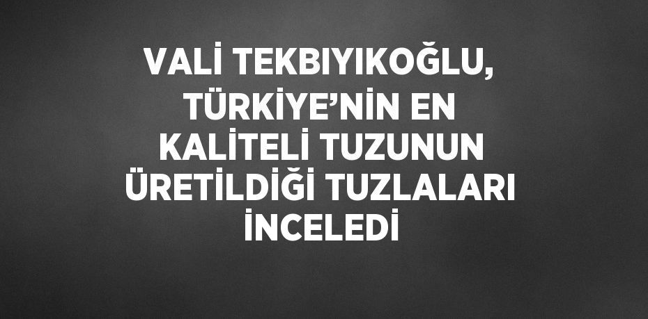 VALİ TEKBIYIKOĞLU, TÜRKİYE’NİN EN KALİTELİ TUZUNUN ÜRETİLDİĞİ TUZLALARI İNCELEDİ