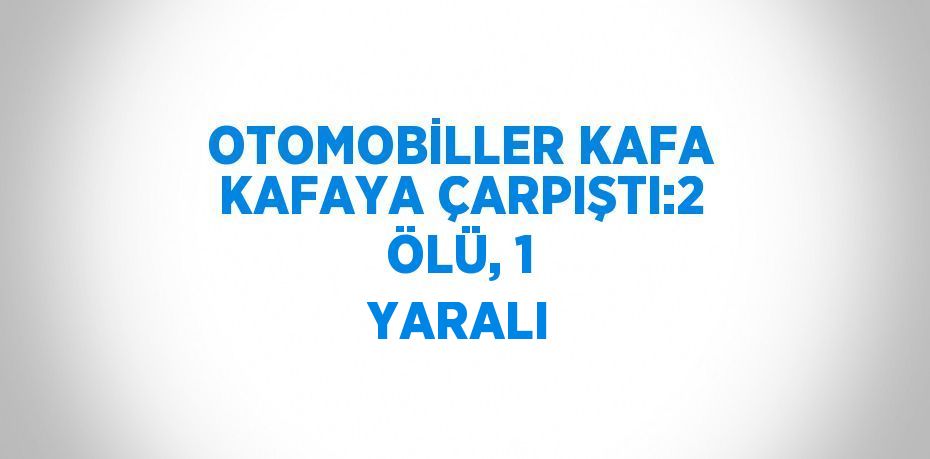 OTOMOBİLLER KAFA KAFAYA ÇARPIŞTI:2 ÖLÜ, 1 YARALI