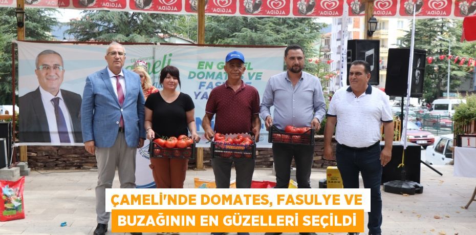 Çameli'nde domates, fasulye ve buzağının en güzelleri seçildi