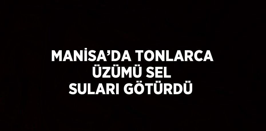 MANİSA’DA TONLARCA ÜZÜMÜ SEL SULARI GÖTÜRDÜ