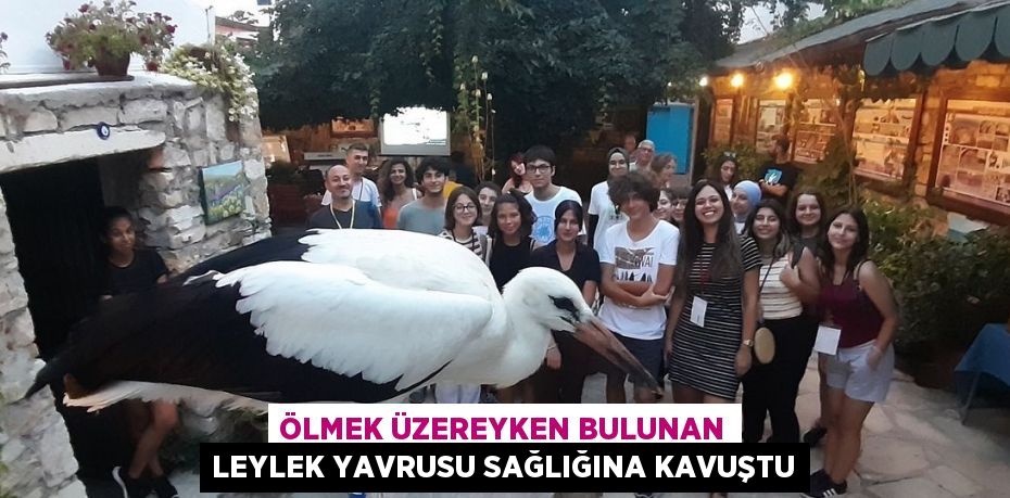 ÖLMEK ÜZEREYKEN BULUNAN LEYLEK YAVRUSU SAĞLIĞINA KAVUŞTU