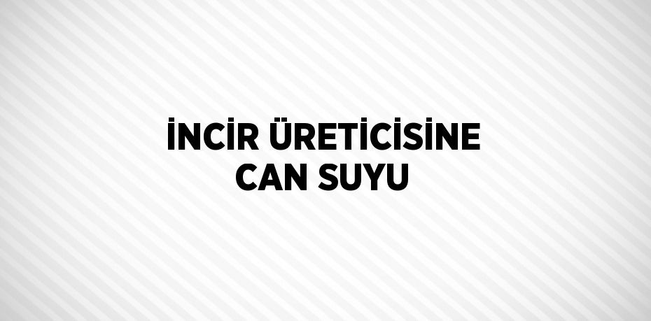 İNCİR ÜRETİCİSİNE CAN SUYU