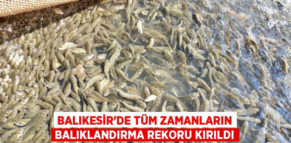 Balıkesir’de Tüm Zamanların Balıklandırma Rekoru Kırıldı