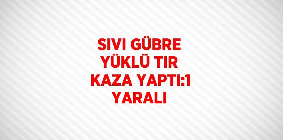 SIVI GÜBRE YÜKLÜ TIR KAZA YAPTI:1 YARALI