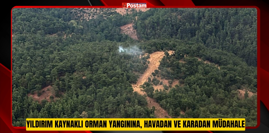 Yıldırım kaynaklı orman yangınına, havadan ve karadan müdahale