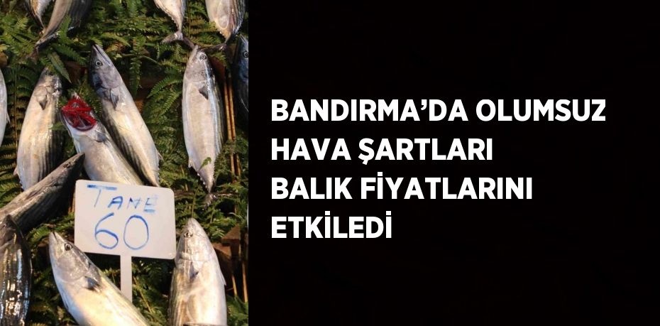 BANDIRMA’DA OLUMSUZ HAVA ŞARTLARI BALIK FİYATLARINI ETKİLEDİ