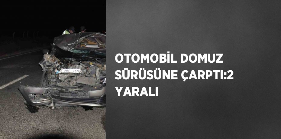 OTOMOBİL DOMUZ SÜRÜSÜNE ÇARPTI:2 YARALI