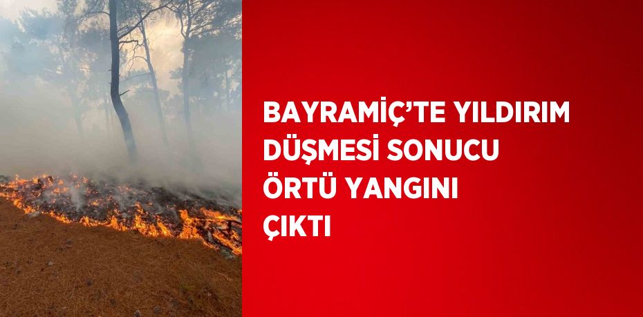 BAYRAMİÇ’TE YILDIRIM DÜŞMESİ SONUCU ÖRTÜ YANGINI ÇIKTI