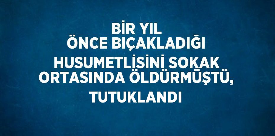 BİR YIL ÖNCE BIÇAKLADIĞI HUSUMETLİSİNİ SOKAK ORTASINDA ÖLDÜRMÜŞTÜ, TUTUKLANDI