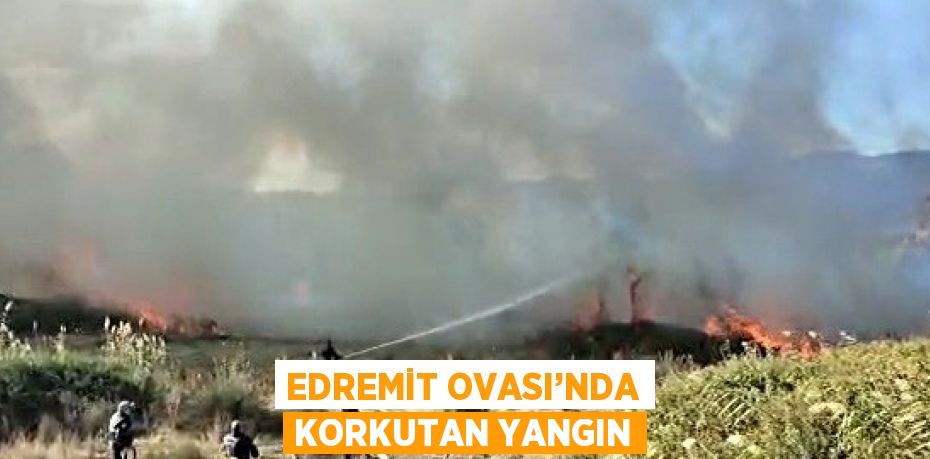 EDREMİT OVASI’NDA KORKUTAN YANGIN