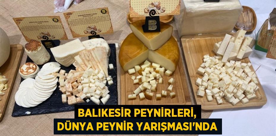 Balıkesir Peynirleri, Dünya Peynir Yarışması’nda