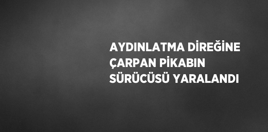 AYDINLATMA DİREĞİNE ÇARPAN PİKABIN SÜRÜCÜSÜ YARALANDI