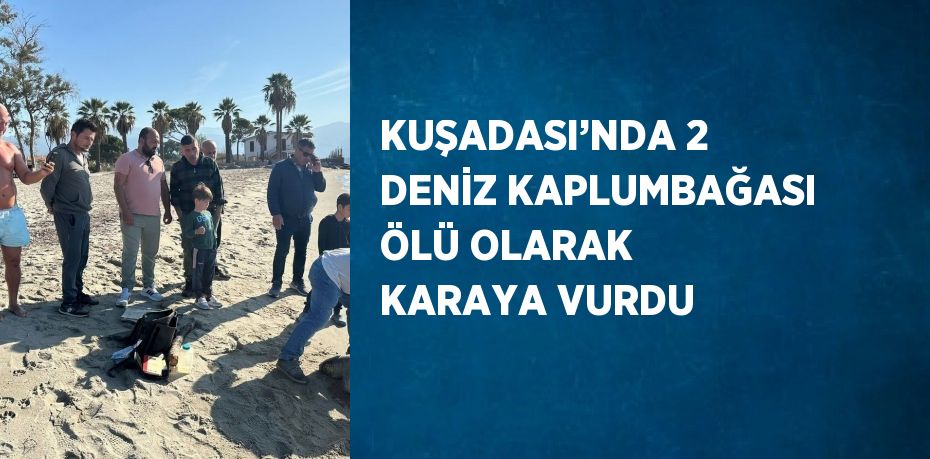 KUŞADASI’NDA 2 DENİZ KAPLUMBAĞASI ÖLÜ OLARAK KARAYA VURDU