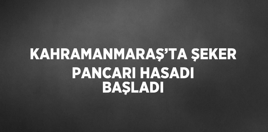 KAHRAMANMARAŞ’TA ŞEKER PANCARI HASADI BAŞLADI