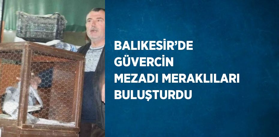 BALIKESİR’DE GÜVERCİN MEZADI MERAKLILARI BULUŞTURDU