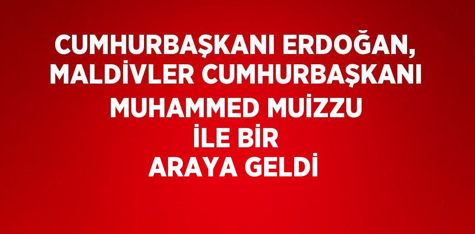 CUMHURBAŞKANI ERDOĞAN, MALDİVLER CUMHURBAŞKANI MUHAMMED MUİZZU İLE BİR ARAYA GELDİ