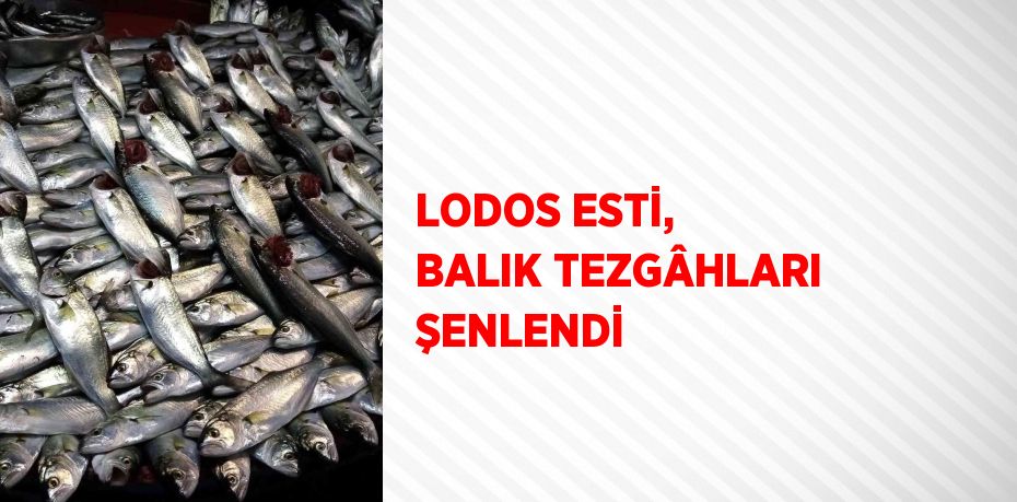 LODOS ESTİ, BALIK TEZGÂHLARI ŞENLENDİ