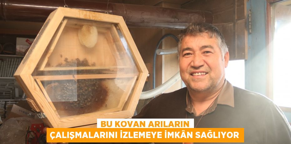 Bu kovan arıların çalışmalarını izlemeye imkân sağlıyor