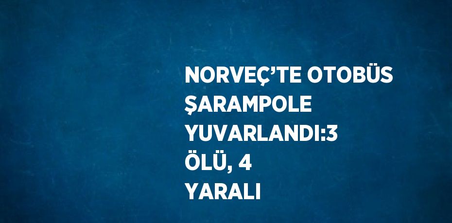 NORVEÇ’TE OTOBÜS ŞARAMPOLE YUVARLANDI:3 ÖLÜ, 4 YARALI