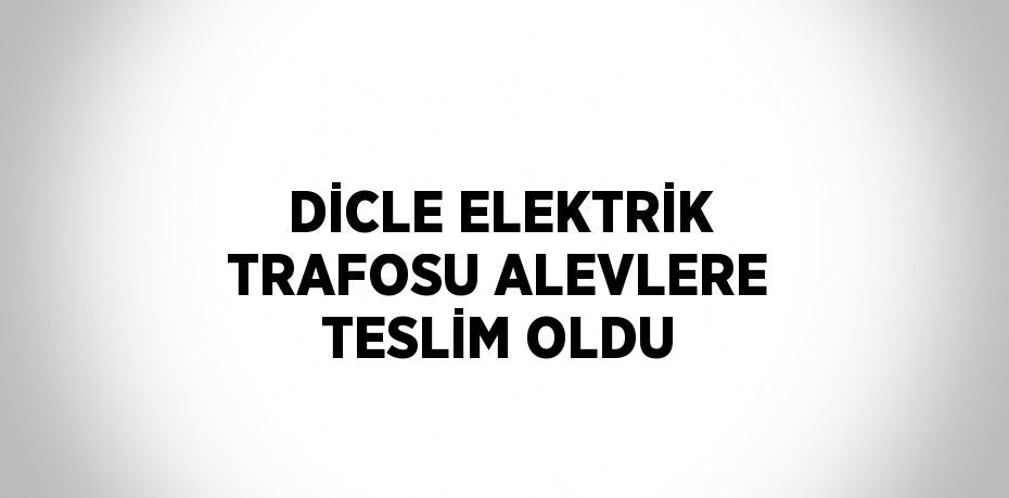 DİCLE ELEKTRİK TRAFOSU ALEVLERE TESLİM OLDU