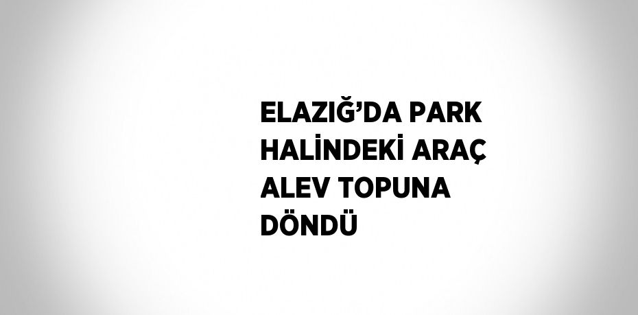 ELAZIĞ’DA PARK HALİNDEKİ ARAÇ ALEV TOPUNA DÖNDÜ