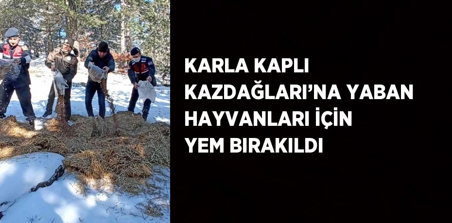 KARLA KAPLI KAZDAĞLARI’NA YABAN HAYVANLARI İÇİN YEM BIRAKILDI