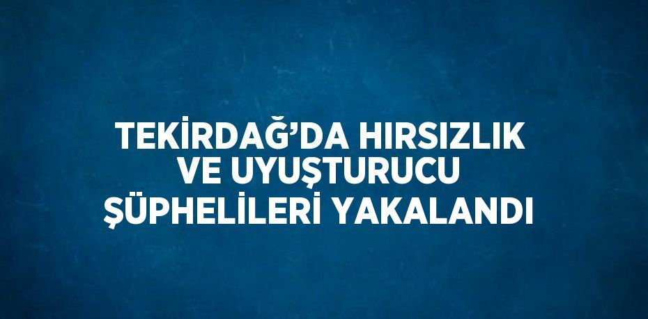 TEKİRDAĞ’DA HIRSIZLIK VE UYUŞTURUCU ŞÜPHELİLERİ YAKALANDI