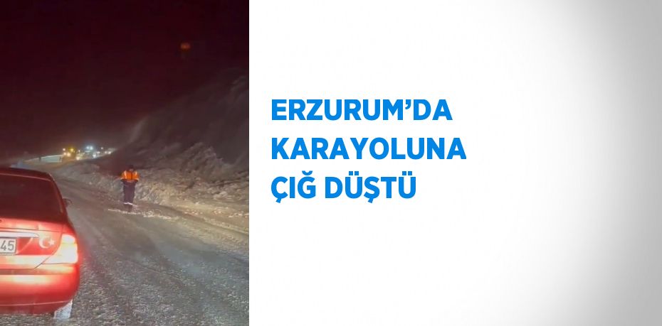 ERZURUM’DA KARAYOLUNA ÇIĞ DÜŞTÜ