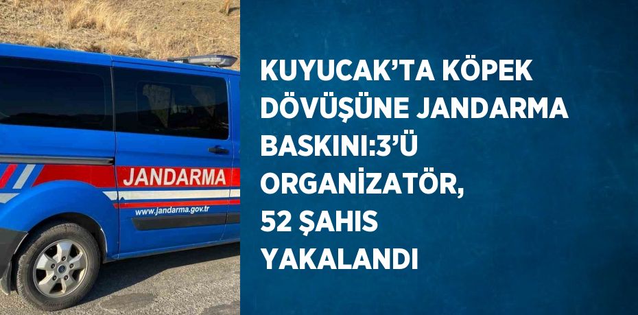 KUYUCAK’TA KÖPEK DÖVÜŞÜNE JANDARMA BASKINI:3’Ü ORGANİZATÖR, 52 ŞAHIS YAKALANDI