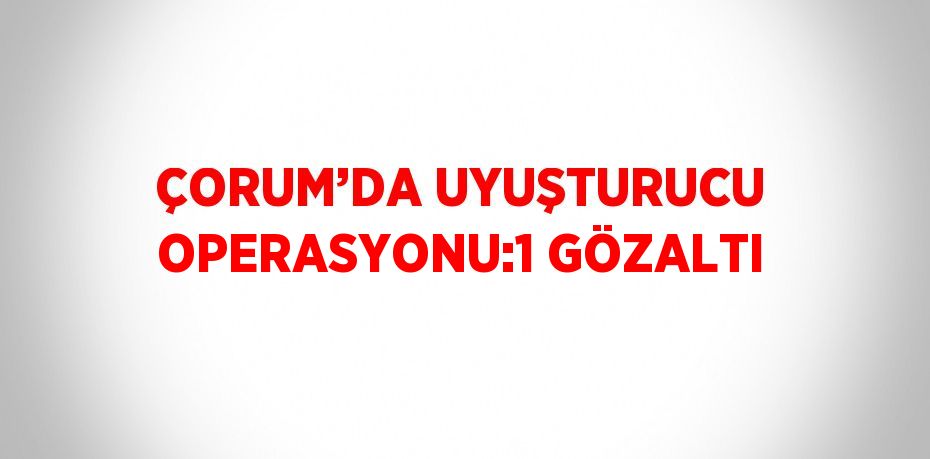 ÇORUM’DA UYUŞTURUCU OPERASYONU:1 GÖZALTI