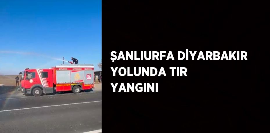 ŞANLIURFA DİYARBAKIR YOLUNDA TIR YANGINI