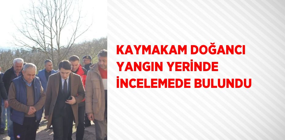 KAYMAKAM DOĞANCI YANGIN YERİNDE İNCELEMEDE BULUNDU