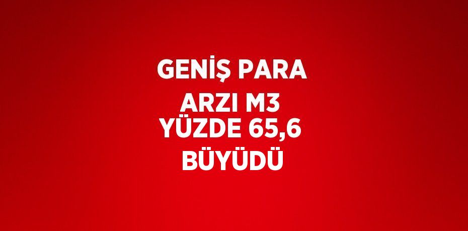 GENİŞ PARA ARZI M3 YÜZDE 65,6 BÜYÜDÜ