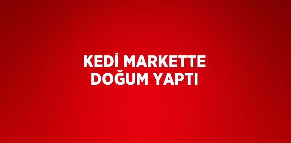 KEDİ MARKETTE DOĞUM YAPTI