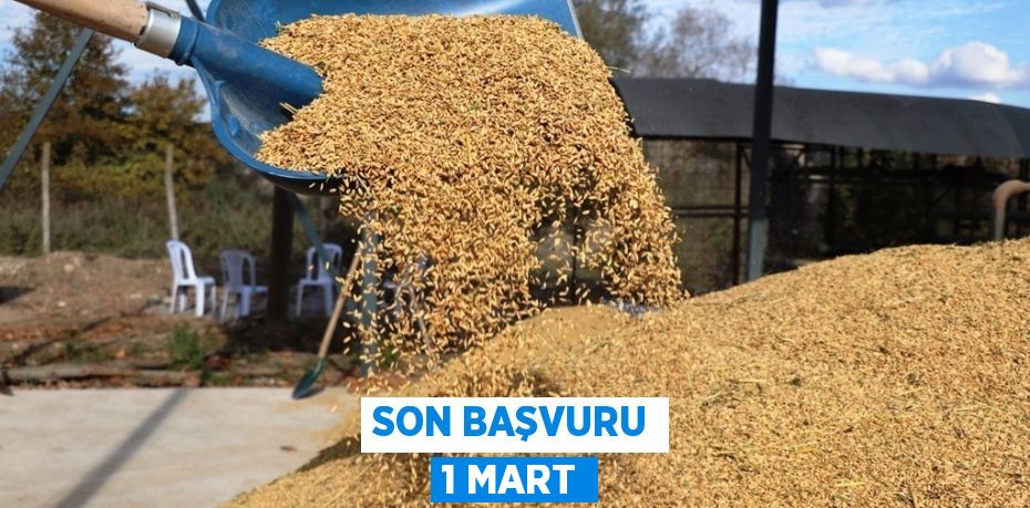 SON BAŞVURU 1 MART