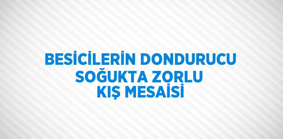 BESİCİLERİN DONDURUCU SOĞUKTA ZORLU KIŞ MESAİSİ