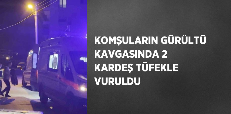 KOMŞULARIN GÜRÜLTÜ KAVGASINDA 2 KARDEŞ TÜFEKLE VURULDU