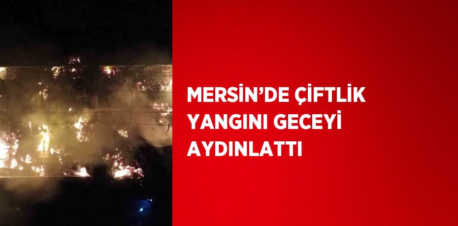 MERSİN’DE ÇİFTLİK YANGINI GECEYİ AYDINLATTI