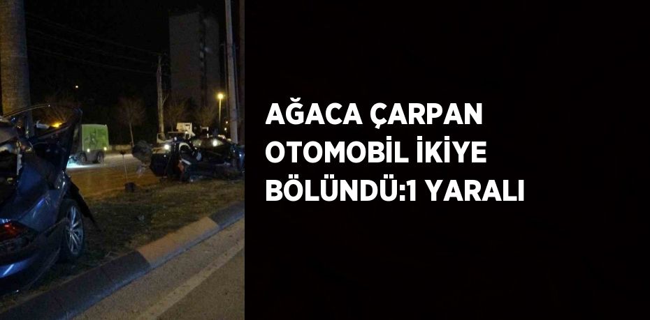 AĞACA ÇARPAN OTOMOBİL İKİYE BÖLÜNDÜ:1 YARALI