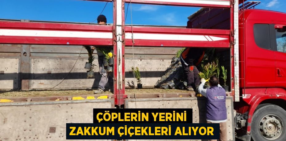 Çöplerin yerini zakkum çiçekleri alıyor