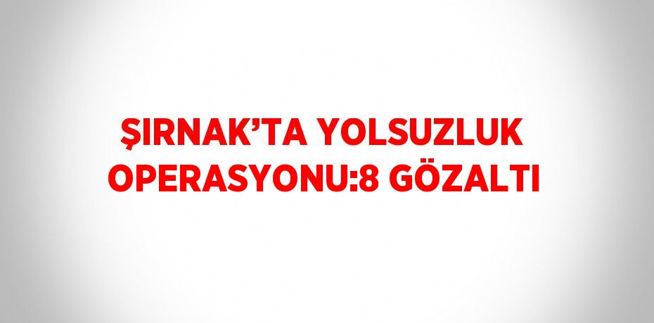 ŞIRNAK’TA YOLSUZLUK OPERASYONU:8 GÖZALTI