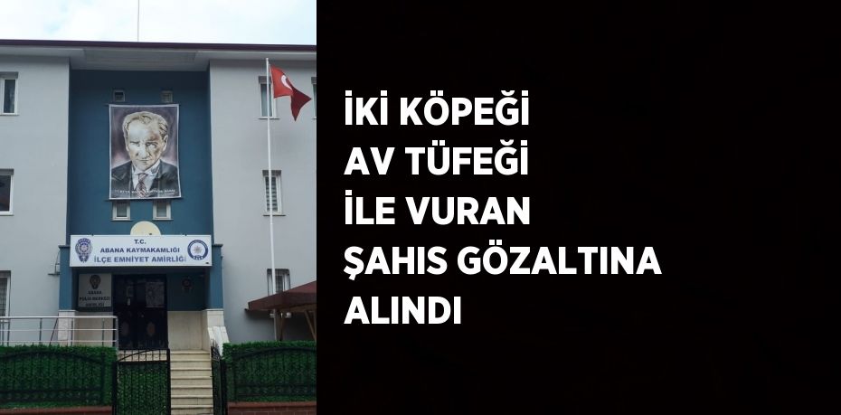 İKİ KÖPEĞİ AV TÜFEĞİ İLE VURAN ŞAHIS GÖZALTINA ALINDI