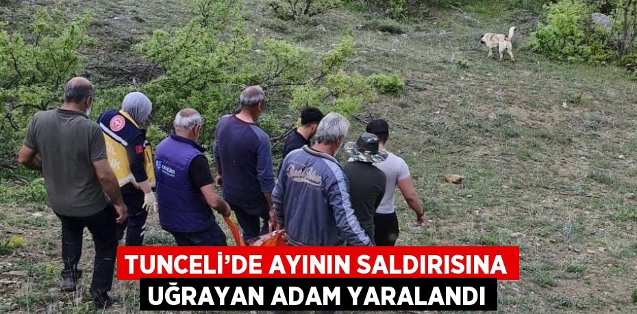 TUNCELİ’DE AYININ SALDIRISINA UĞRAYAN ADAM YARALANDI