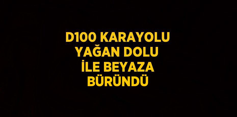 D100 KARAYOLU YAĞAN DOLU İLE BEYAZA BÜRÜNDÜ