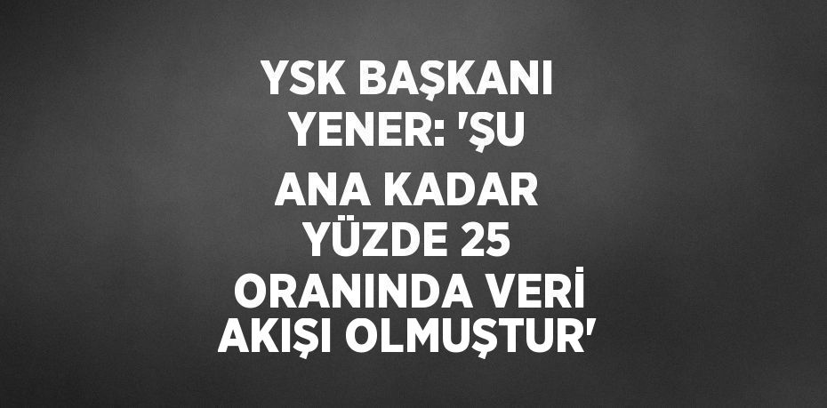 YSK BAŞKANI YENER: 'ŞU ANA KADAR YÜZDE 25 ORANINDA VERİ AKIŞI OLMUŞTUR'