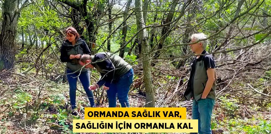 ORMANDA SAĞLIK VAR, SAĞLIĞIN İÇİN ORMANLA KAL