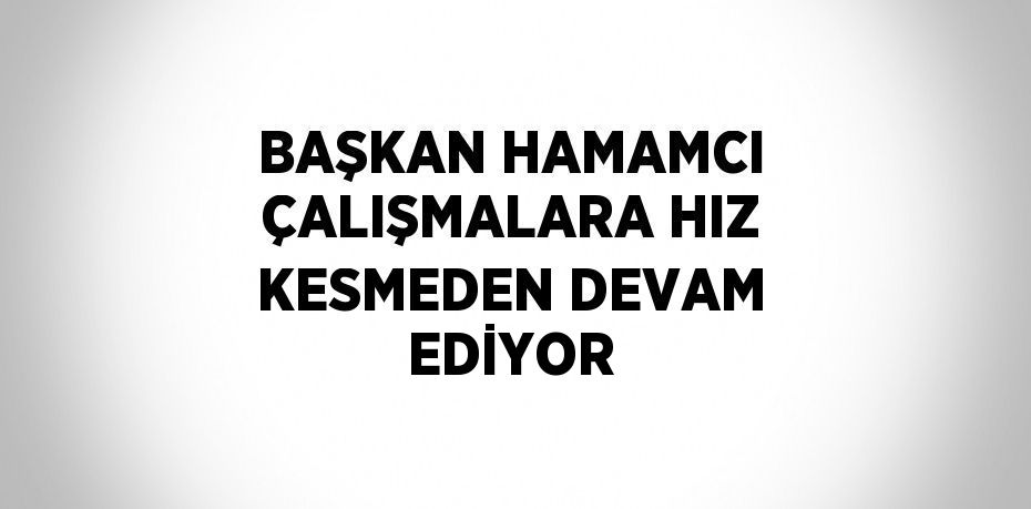 BAŞKAN HAMAMCI ÇALIŞMALARA HIZ KESMEDEN DEVAM EDİYOR